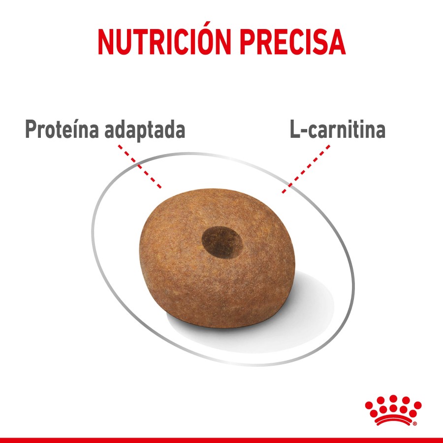 Perros Royal Canin | Royal Canin Medium Light Weight Care Pienso Para El Control De Peso De Perro Adulto De Tama O Mediano