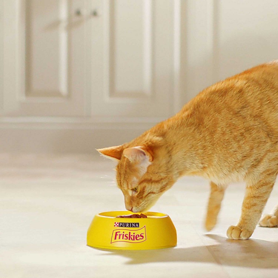 Gatos Friskies | Friskies Adulto Con Buey, Pollo Y Verduras