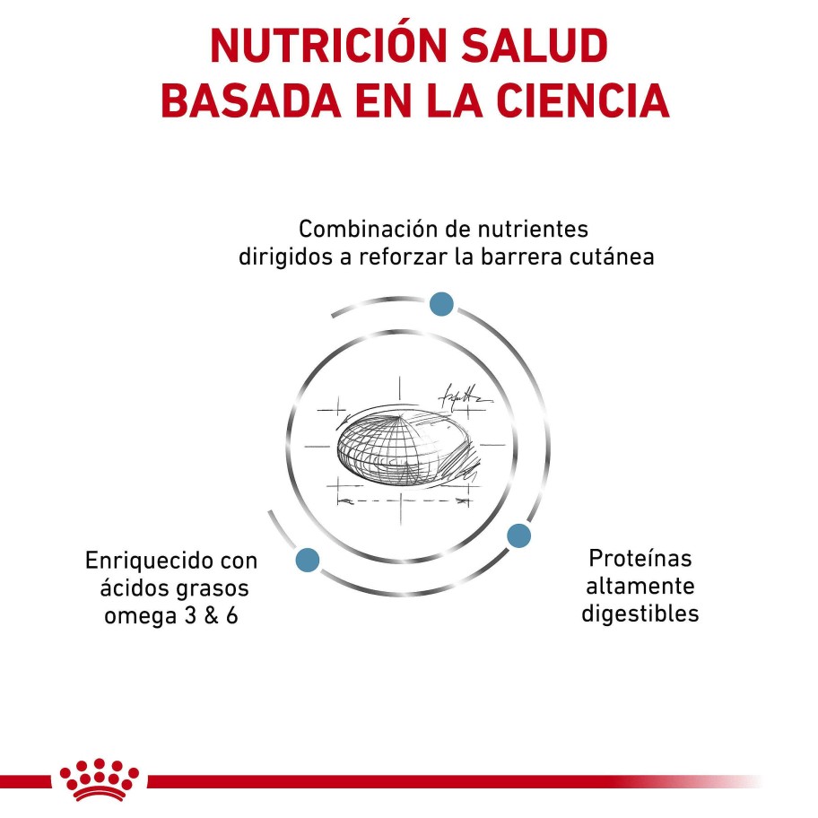 Perros Royal Canin | Royal Canin Skin Care Alimento Seco Para Perros