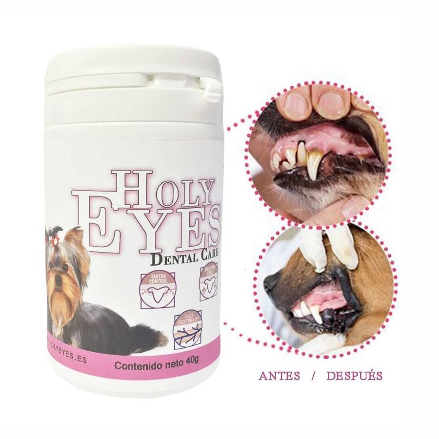 Perros Holy Eyes | Holy Eyes Dental Care