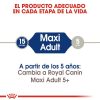 Perros Royal Canin | Royal Canin Maxi Adult Pienso Para Perro Adulto De Razas Tama O Grande