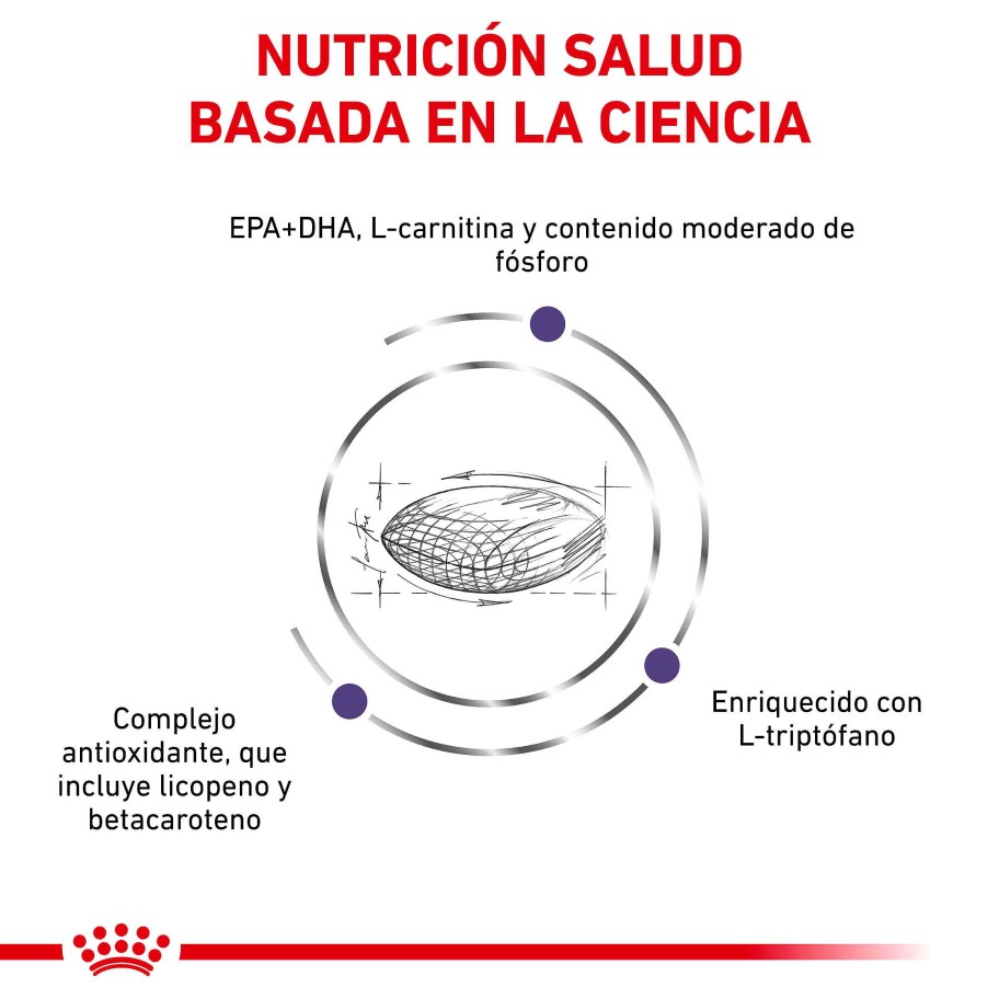 Perros Royal Canin | Royal Canin Senior Consult Mature Large Dogs Alimento Seco Para Perros De Razas Grandes