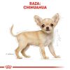 Perros Royal Canin | Royal Canin Chihuahua Puppy Pienso Para Cachorro De Raza