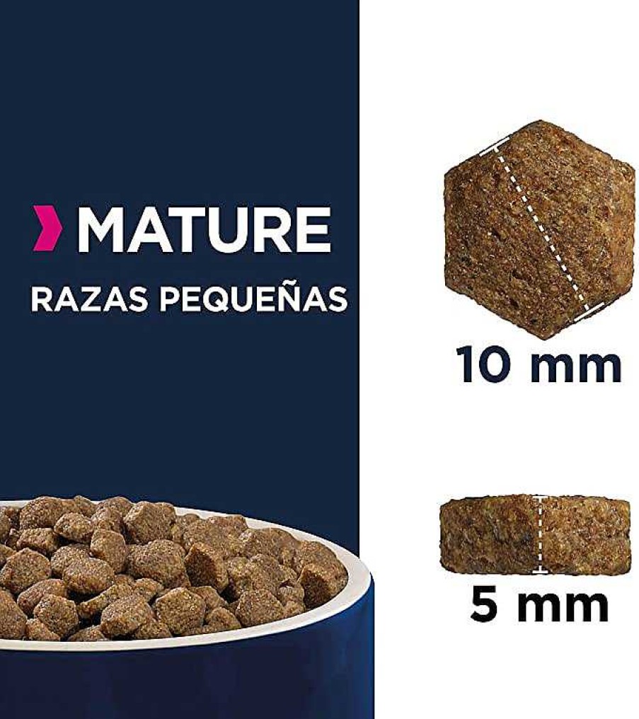 Perros Eukanuba | Eukanuba Alimento Seco Para Perros Mature De Raza Peque A, Rico En Pollo Fresco