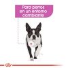 Perros Royal Canin | Royal Canin Mini Relax Care