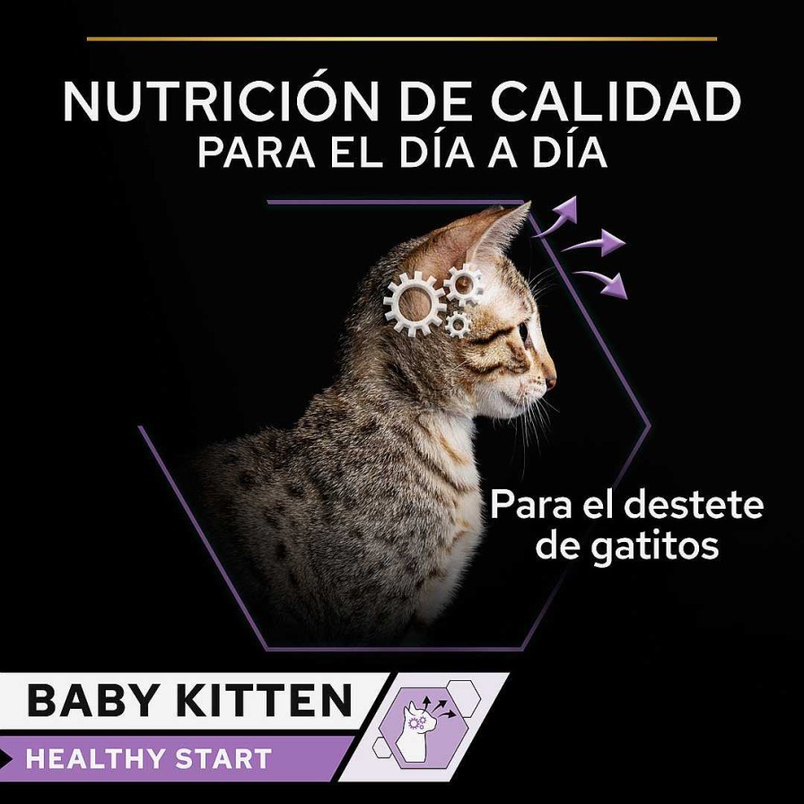 Gatos Purina Pro Plan | Purina Pro Plan Baby Kitten Comida H Meda Para Gatitos