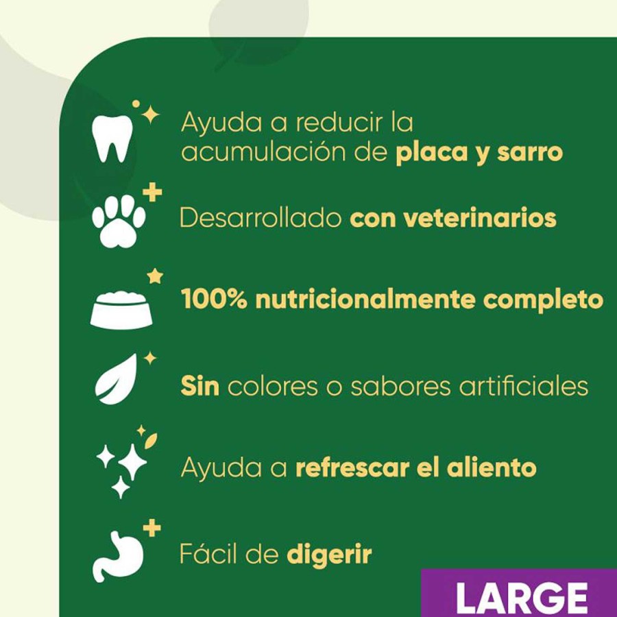 Perros Greenies | Greenies Large