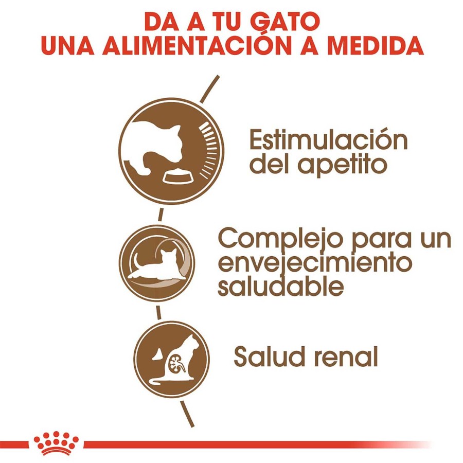 Gatos Royal Canin | Royal Canin Ageing 12+ Pienso Para Gato De Edad Avanzada