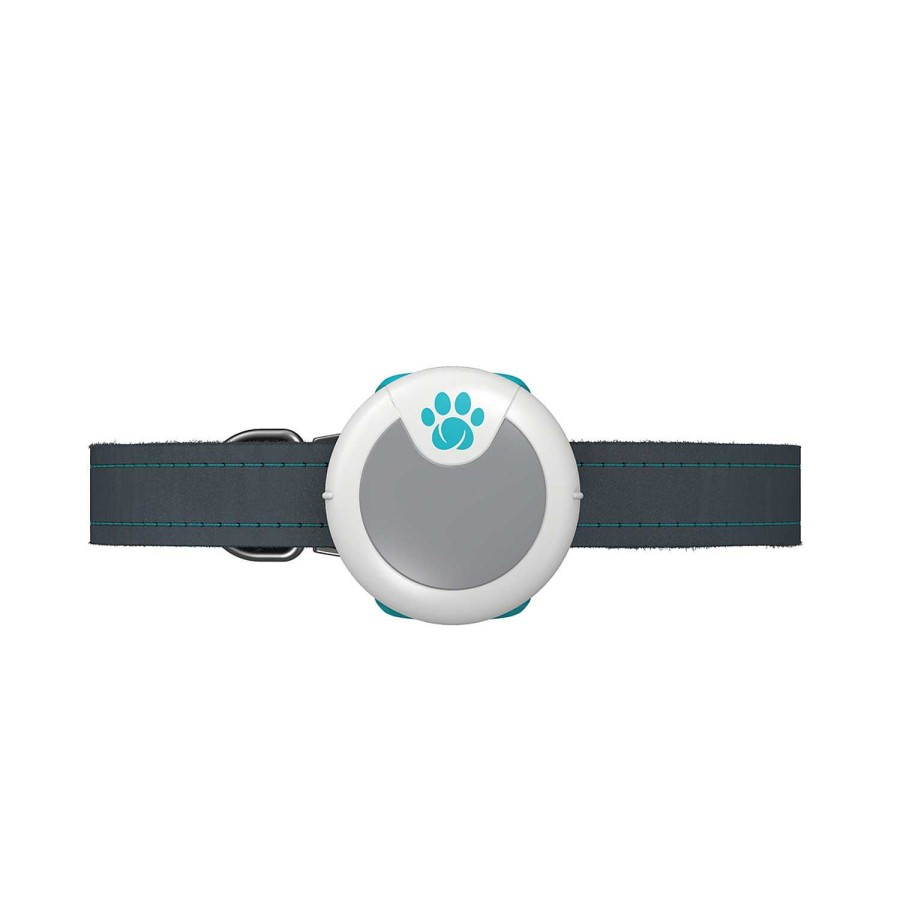 Perros Sure Petcare | Animo Monitor De Comportamiento Y Actividad