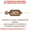 Gatos Royal Canin | Royal Canin Ageing 12+ Sterilised Pienso Para Gato De Edad Avanzada Esterilizado