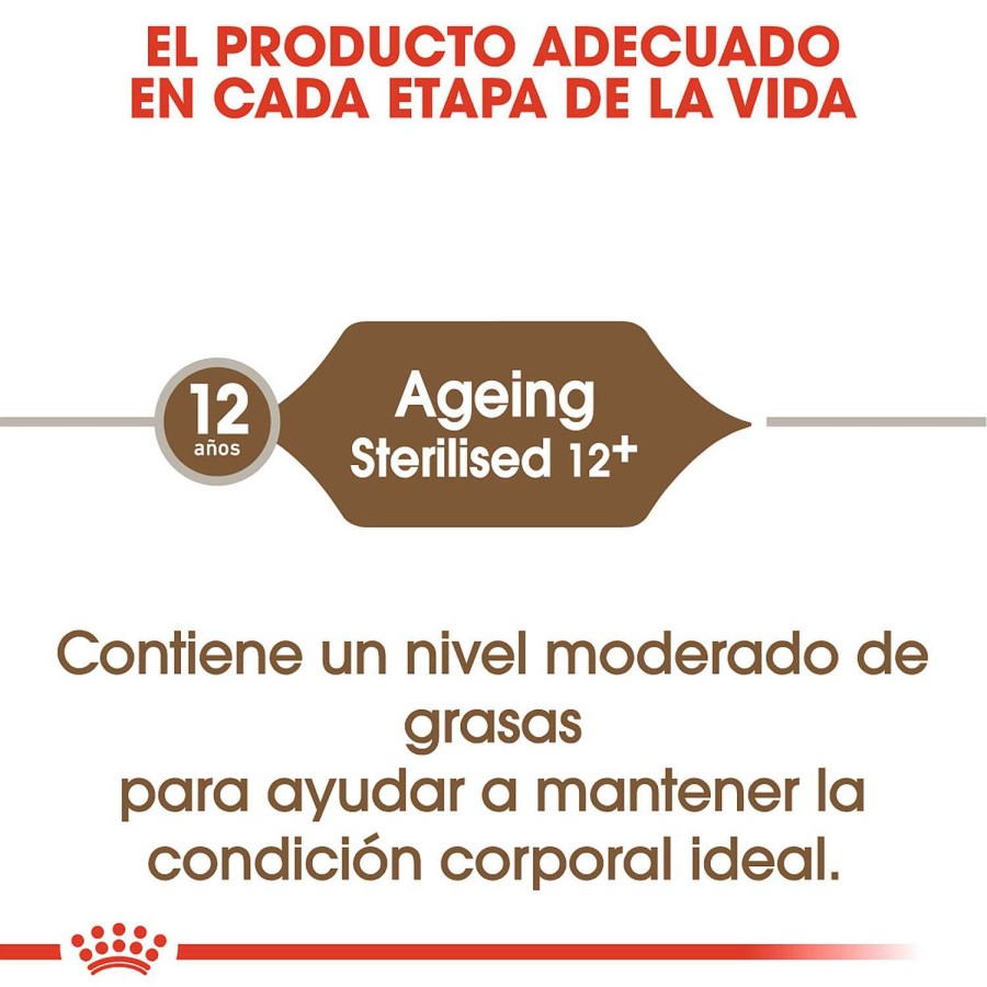 Gatos Royal Canin | Royal Canin Ageing 12+ Sterilised Pienso Para Gato De Edad Avanzada Esterilizado