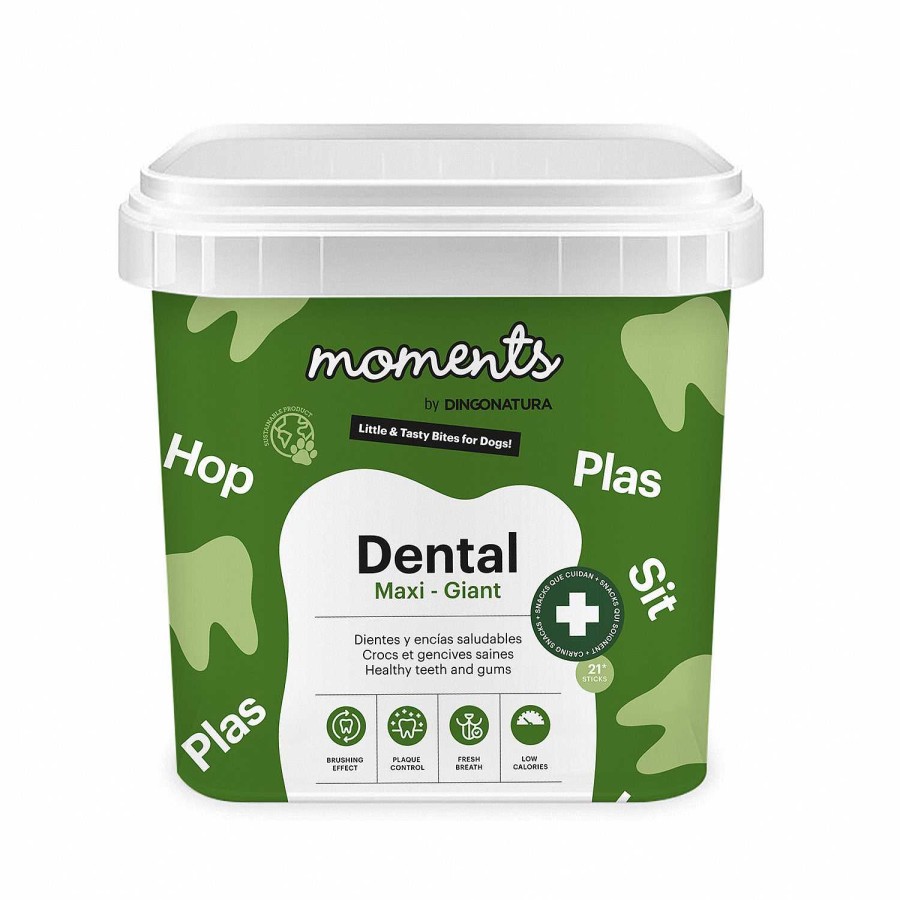 Perros Dingo | Moments Dog Dental Maxi-Giant