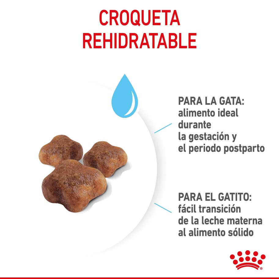 Gatos Royal Canin | Royal Canin Mother & Babycat Pienso Para Gatitos Y Gatas Lactantes