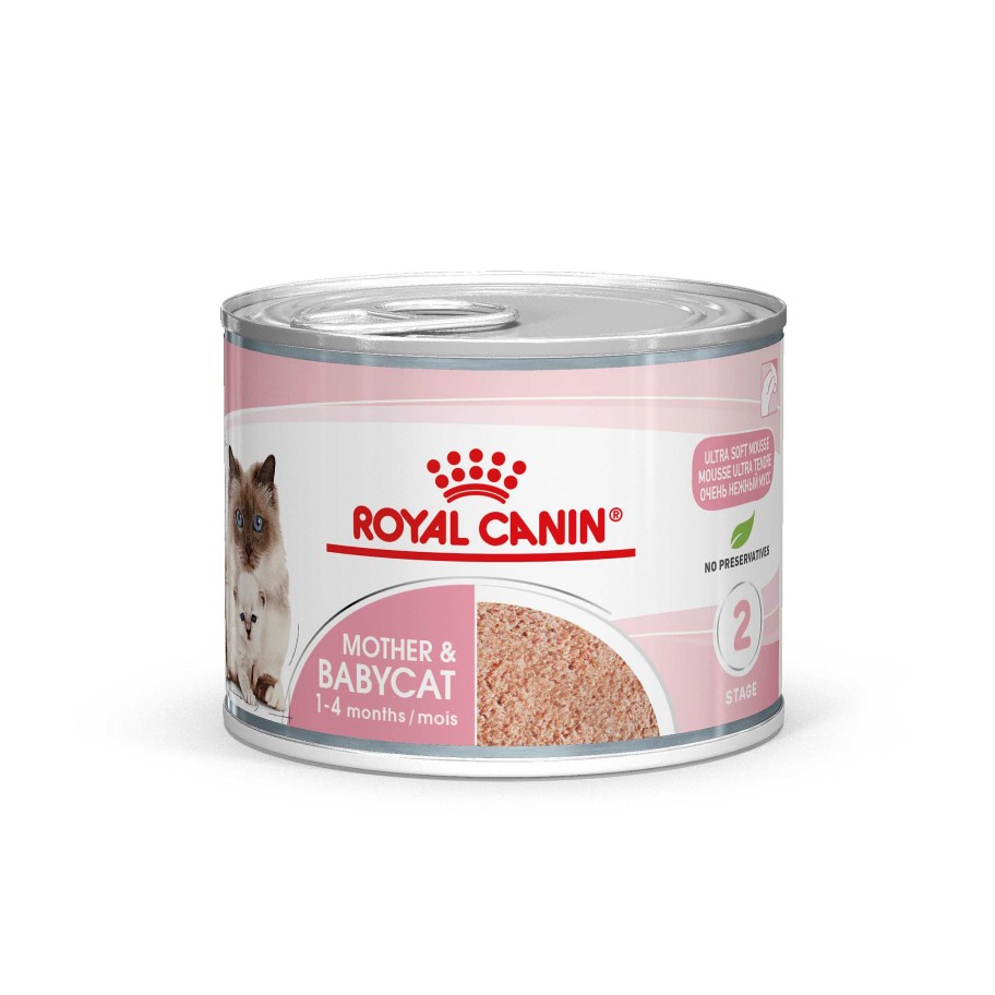 Gatos Royal Canin | Royal Canin Mother & Babycat Comida H Meda Para Gatitos Y Gatas Lactantes