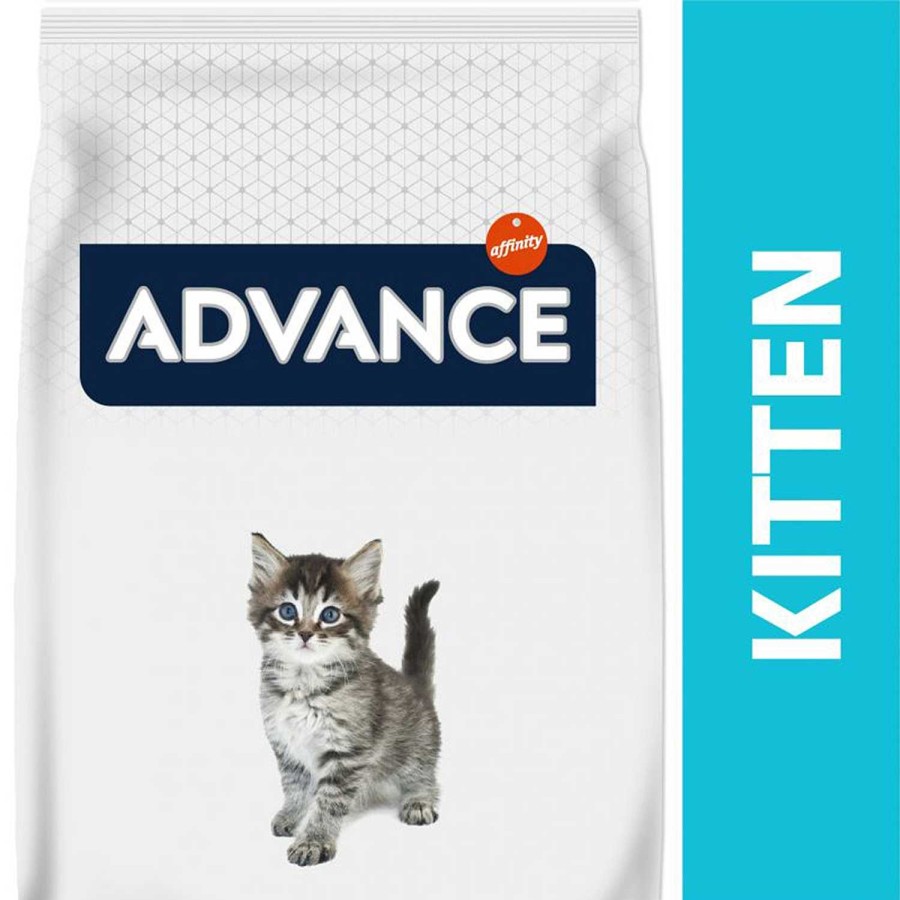 Gatos Advance | Advance Kitten Chicken & Rice