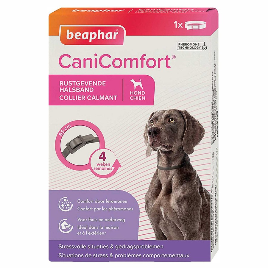 Perros Beaphar | Canicomfort Collar Perros 65Cm