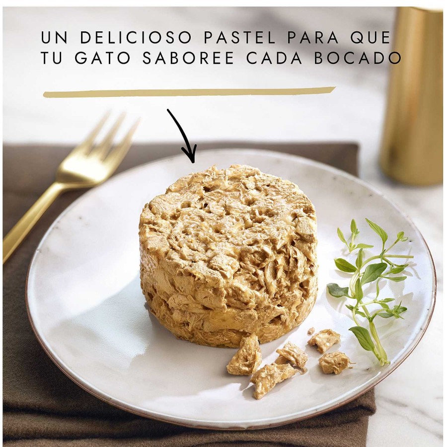 Gatos Gourmet | Purina Gourmet Gold Tartelette Pack Surtido