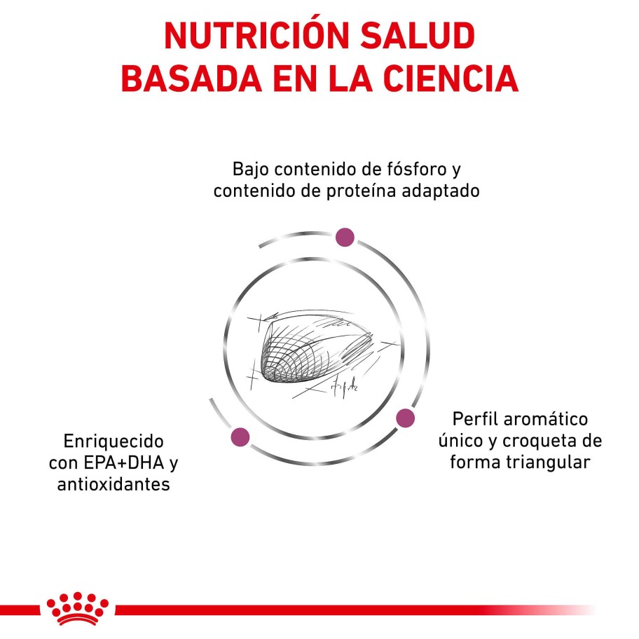 Gatos Royal Canin | Royal Canin Renal Special Alimento Seco Para Gatos