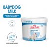 Perros Royal Canin | Royal Canin Babydog Milk Leche Para Cachorros