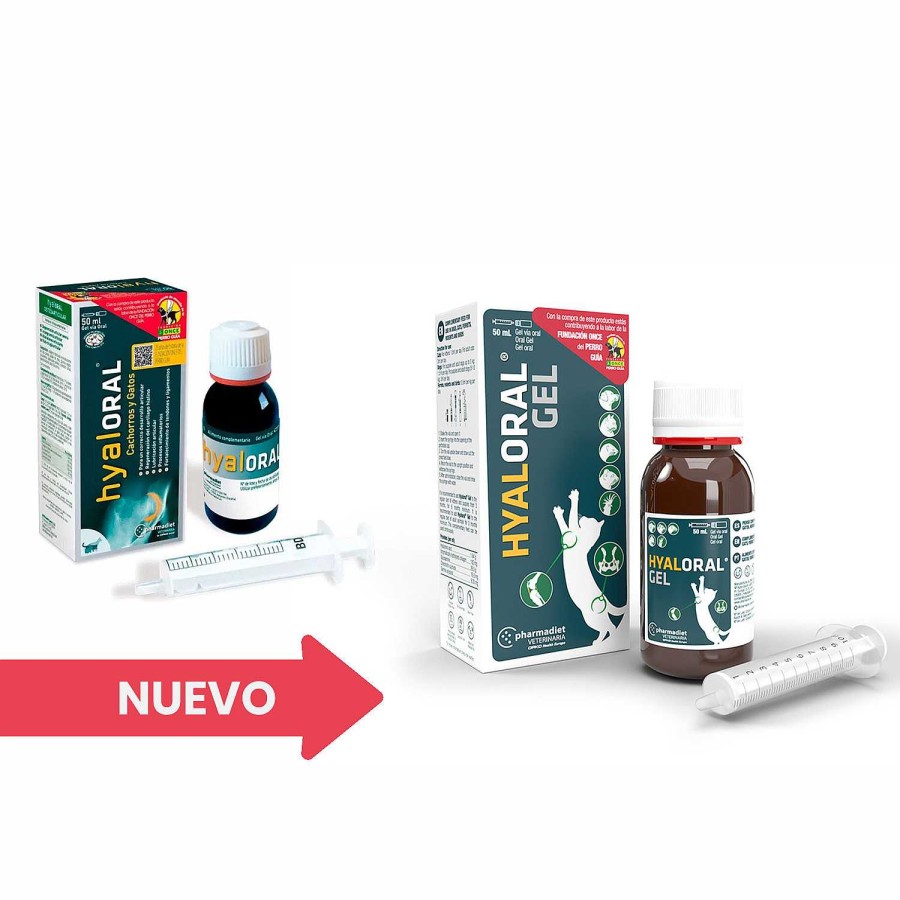 Perros Pharmadiet | Hyaloral Cachorros Y Gatos 50 Ml