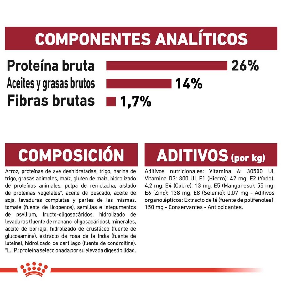 Perros Royal Canin | Royal Canin Medium Ageing 10+ Pienso Para Perro En Edad Avanzada De Razas Tama O Mediana