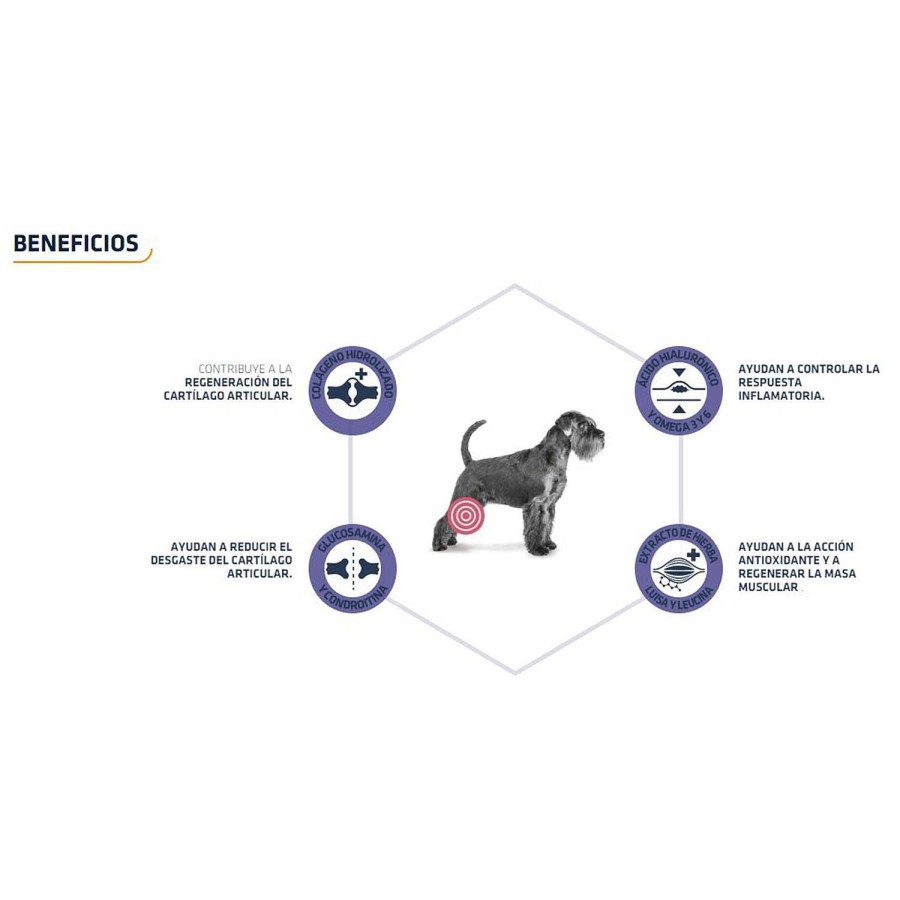 Perros Advance | Advance Articular Senior +7 Years