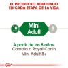 Perros Royal Canin | Royal Canin Mini Adult Pienso Para Perro Adulto De Razas Tama O Peque A