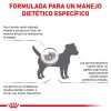 Perros Royal Canin | Royal Canin Renal Small Dog Alimento Seco Para Perros De Razas Peque As