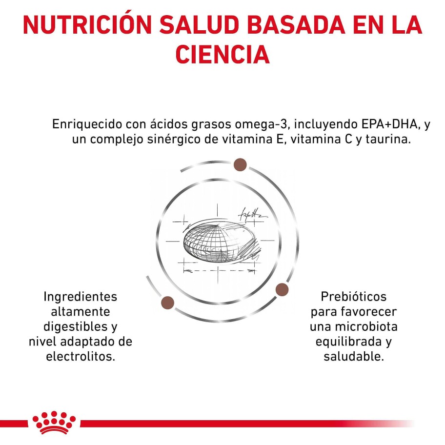 Perros Royal Canin | Royal Canin Gastro Intestinal Low Fat Alimento Seco Para Perros