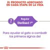 Gatos Royal Canin | Royal Canin Sterilised 7+ Pienso Para Gato S Nior Esterilizado