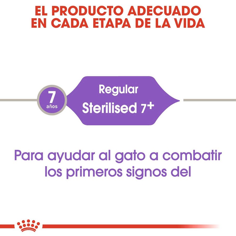 Gatos Royal Canin | Royal Canin Sterilised 7+ Pienso Para Gato S Nior Esterilizado