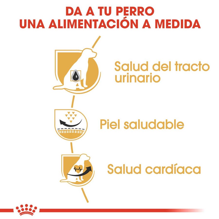 Perros Royal Canin | Royal Canin D Lmata Pienso Para Perro Adulto