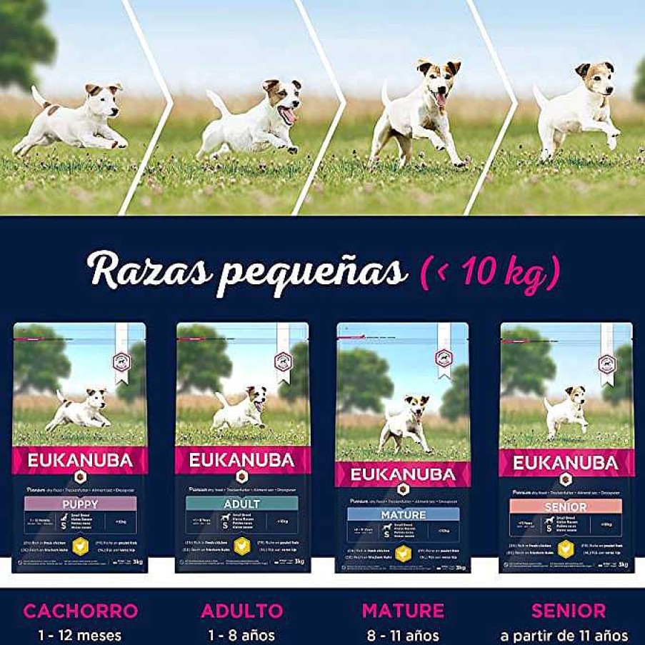 Perros Eukanuba | Eukanuba Alimento Seco Para Cachorros De Raza Peque A, Rico En Pollo Fresco