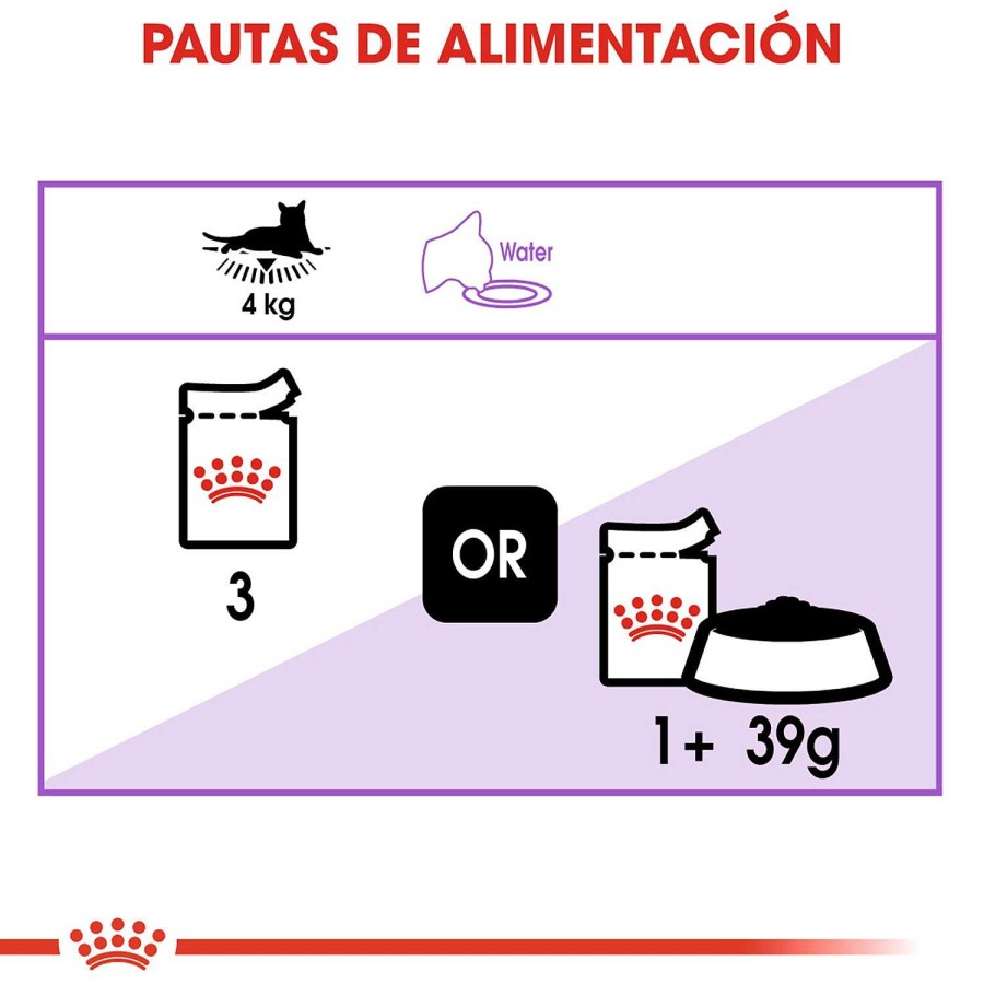 Gatos Royal Canin | Royal Canin Sterilised Comida H Meda En Gelatina Para Gato Adulto Esterilizado