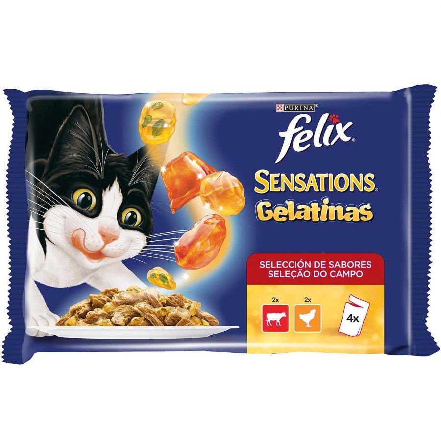 Gatos Felix | Purina Felix Sensation Gelatinas Selecci N De Carnes