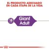 Perros Royal Canin | Royal Canin Giant Adult Pienso Para Perro Adulto De Razas Tama O Gigante