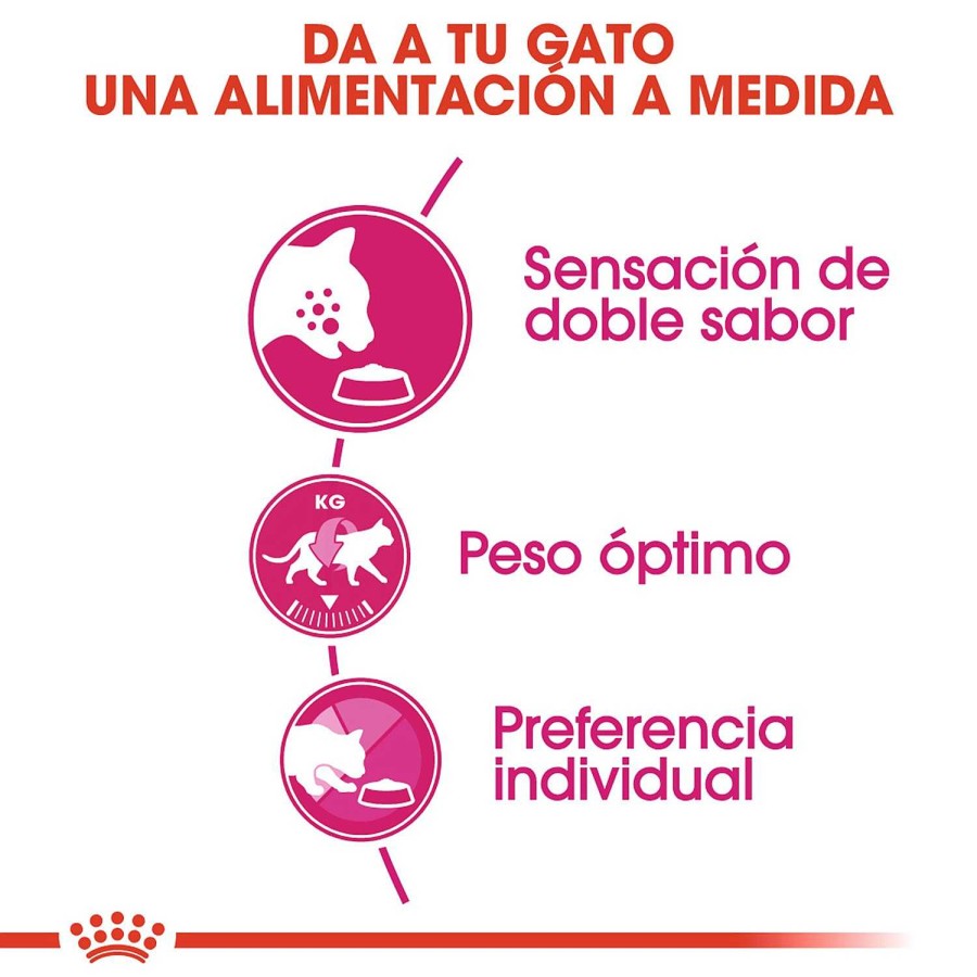 Gatos Royal Canin | Royal Canin Savour Exigent Pienso Para Gato Adulto Exigente