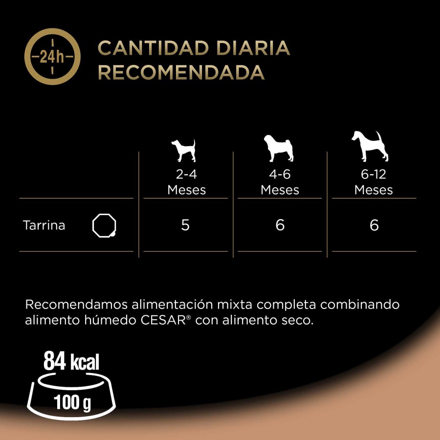 Perros Cesar | Cesar Comida H Meda Para Perros Cachorros Sabor Pavo Y Ternera Tarrina