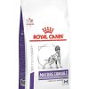 Perros Royal Canin | Royal Canin Senior Consult Mature Medium Dogs Alimento Seco Para Perros De Razas Medianas