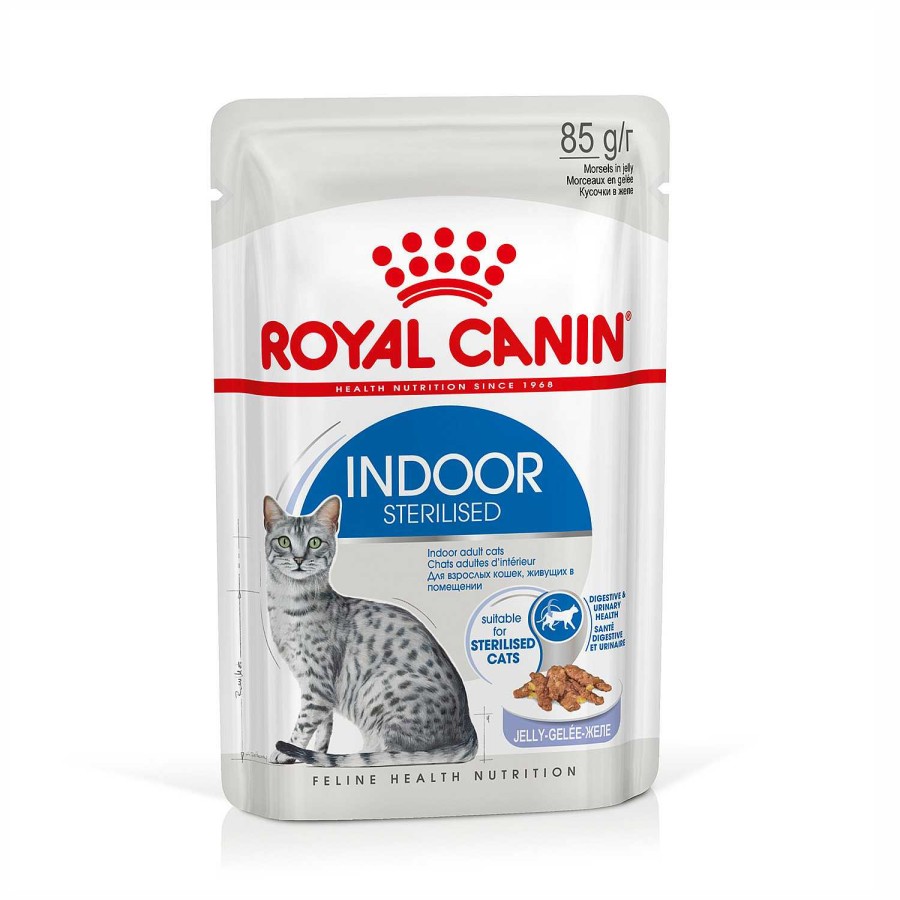 Gatos Royal Canin | Royal Canin Indoor Comida H Meda En Gelatina Para Gato Adulto De Interior