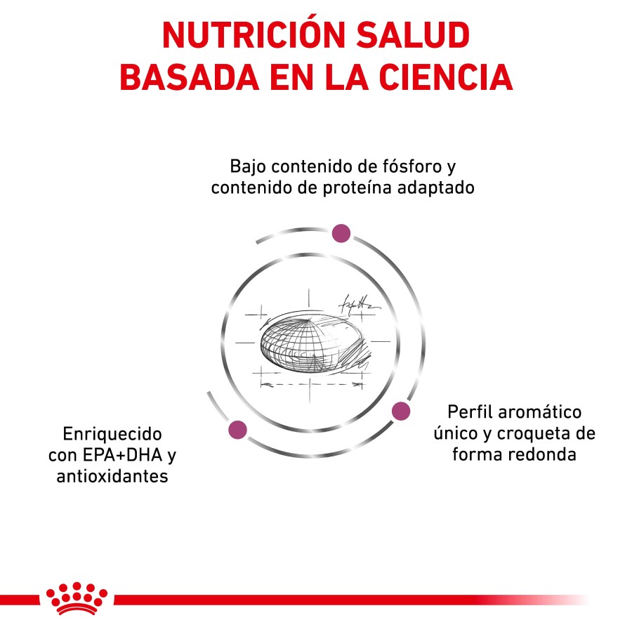 Gatos Royal Canin | Royal Canin Renal Alimento Seco Para Gatos