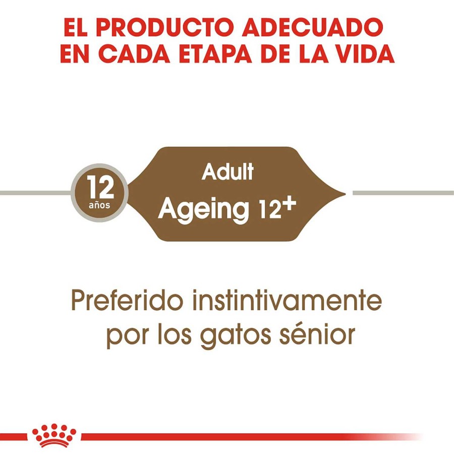 Gatos Royal Canin | Royal Canin Ageing 12+ Comida H Meda En Salsa Para Gato De Edad Avanzada