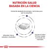 Perros Royal Canin | Royal Canin Adult Small Dogs Alimento Seco Para Perros De Razas Peque As