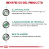 Perros Royal Canin | Royal Canin Diabetic Alimento Seco Para Perros