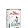 Perros Royal Canin | Royal Canin Diabetic Special Low Carbohydrate Alimento H Medo Para Perros En Pat