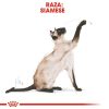 Gatos Royal Canin | Royal Canin Siamese Pienso Para Gato Adulto Siam S