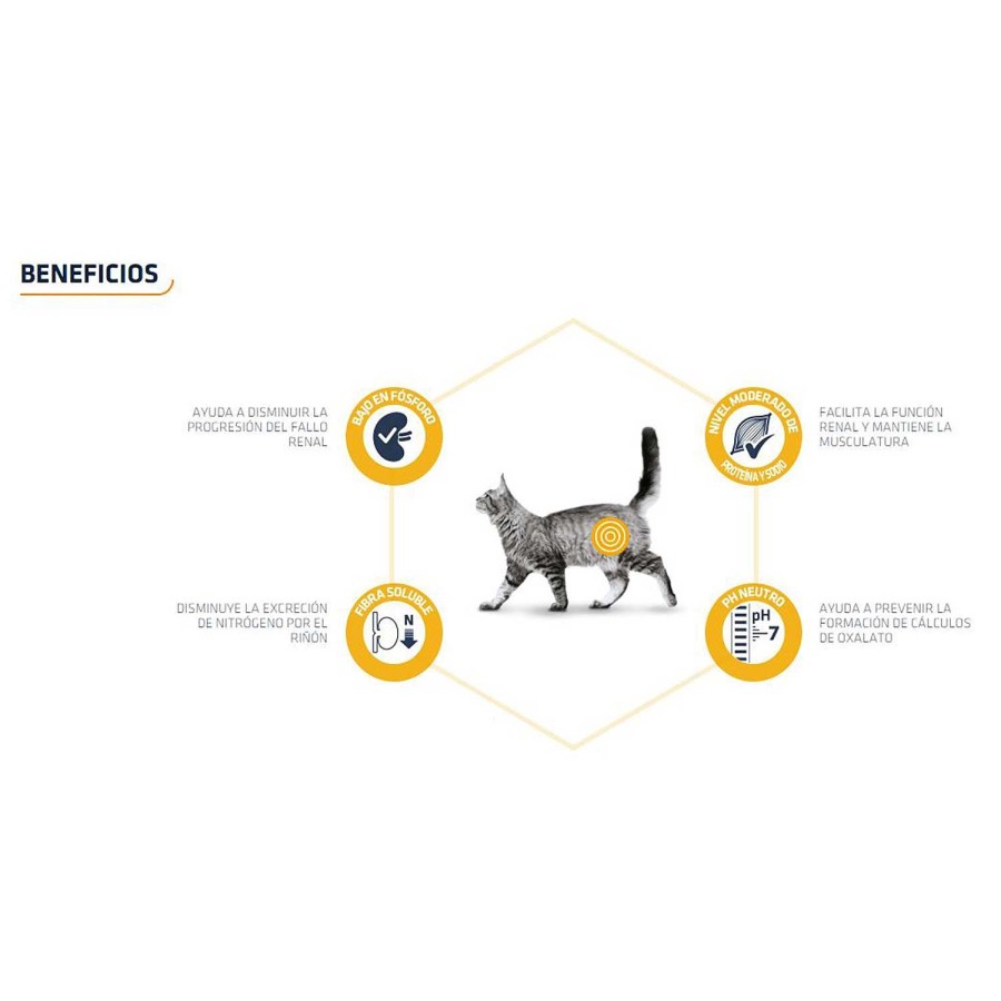 Gatos Advance | Advance Renal Failure