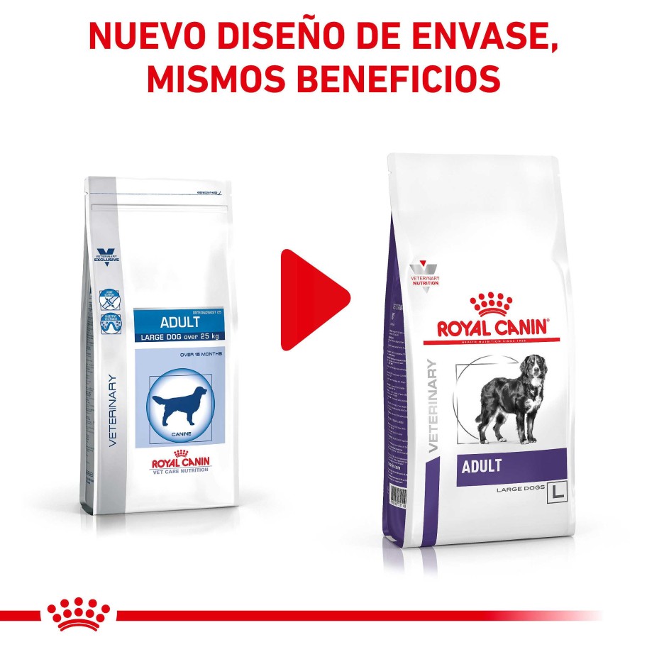 Perros Royal Canin | Royal Canin Adult Large Dog Alimento Seco Para Perros De Razas Grandes