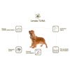 Perros Lenda | Lenda Nature Atun Grain Free