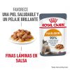 Gatos Royal Canin | Royal Canin Hair&Skin Care Comida H Meda En Salsa Gato Adulto De Piel Sensible